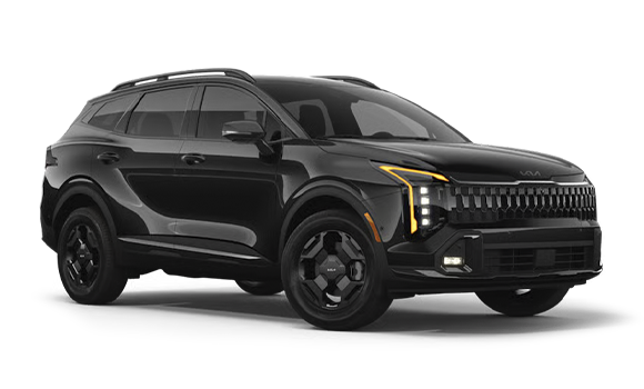 Sportage V Рест